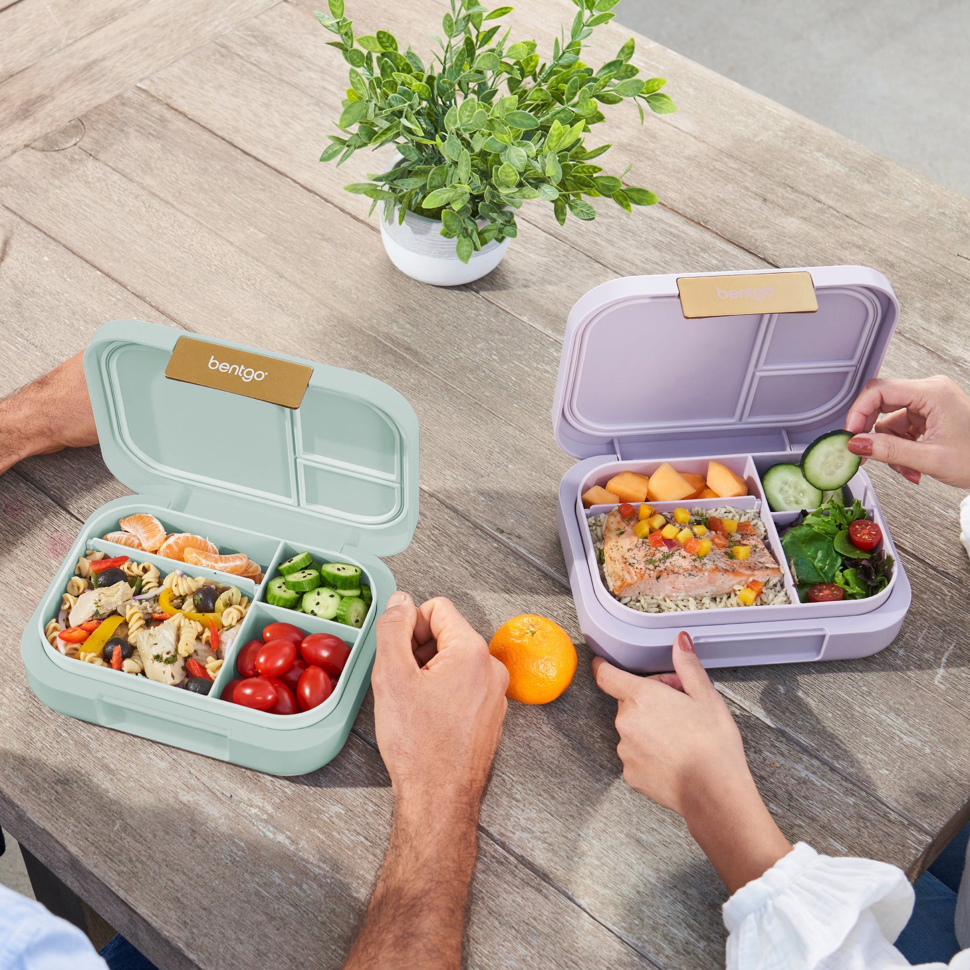 bentgo-modern-lunch-box-2-pack-b2 COSTCOBMCPRODUCTIMAGE_2.jpg